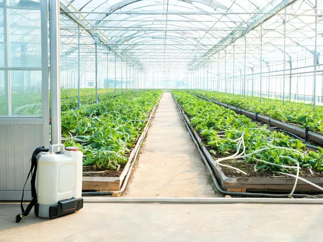 Greenhouse crop beds